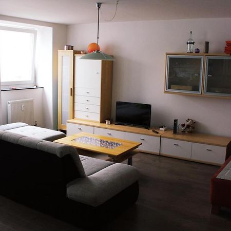 Full Flat 3 Bedrooms Saarbrucken Center -11 People Buitenkant foto